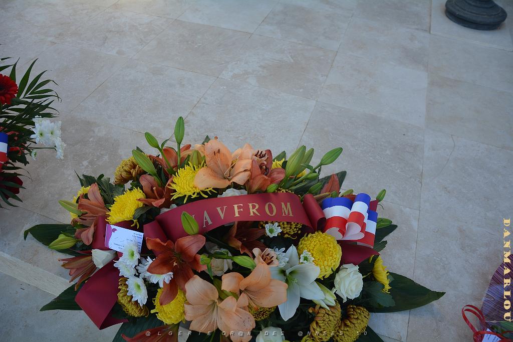 2024 11 01 TOULON HOMMAGE AUX MORTS POUR LA FRANCE (4).jpg